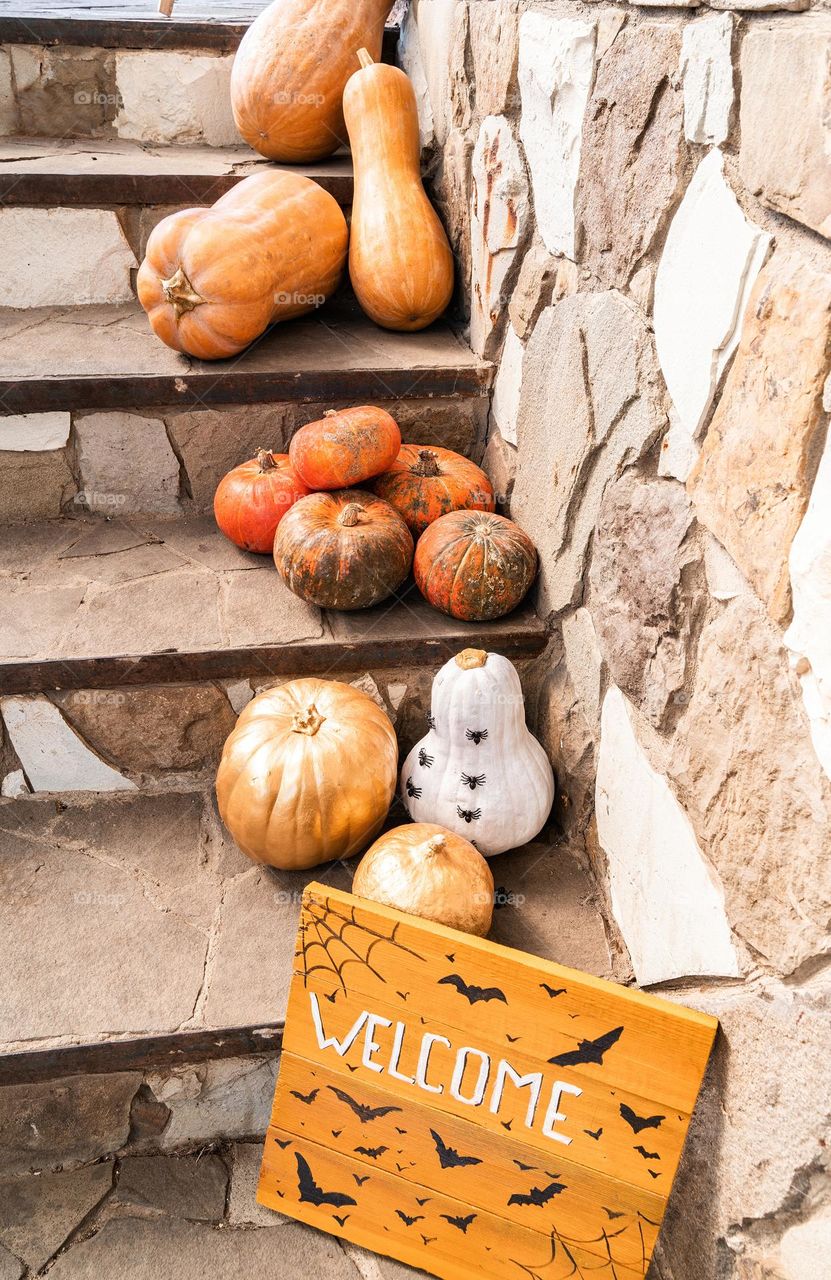 Halloween pumpkins