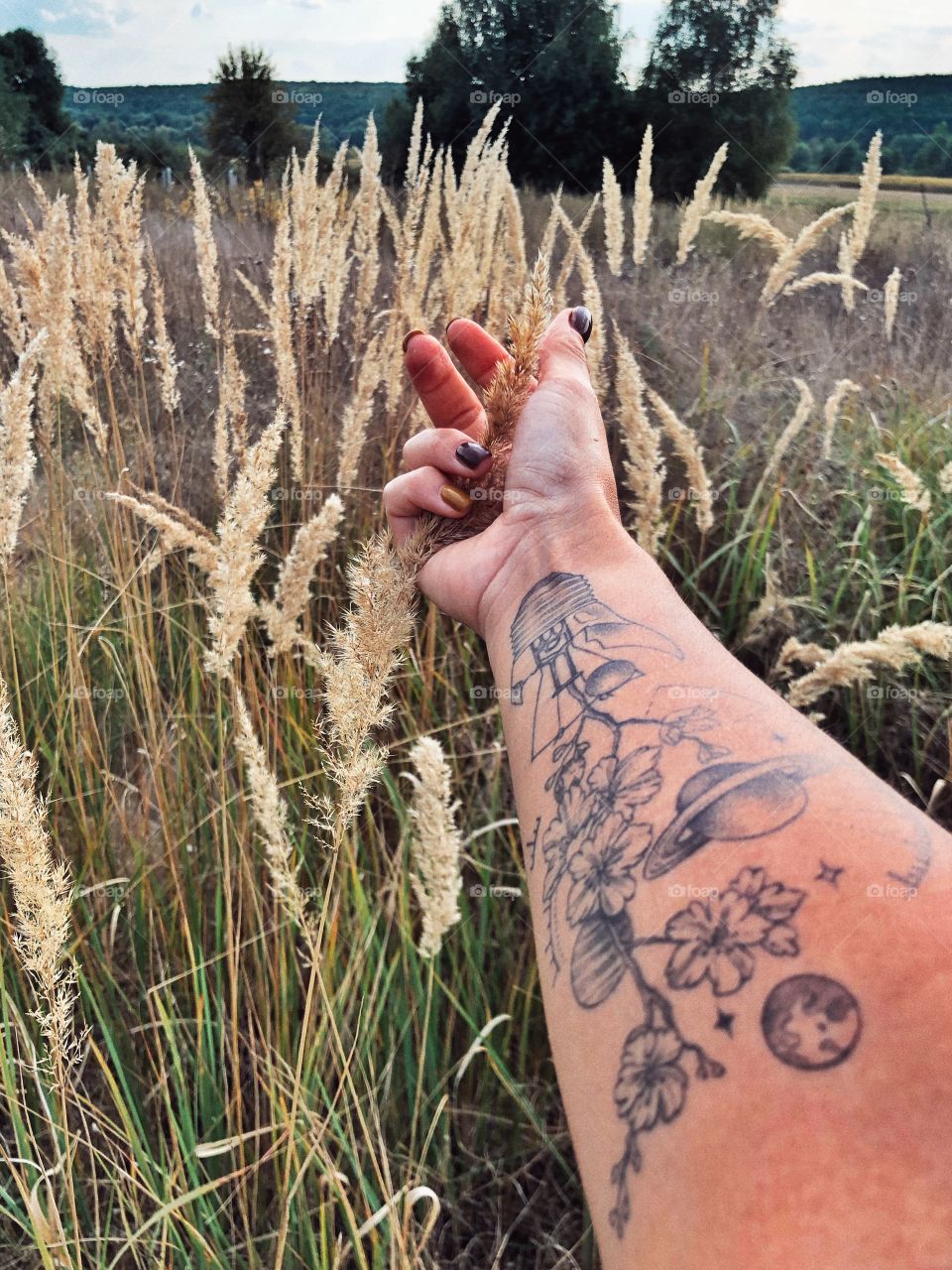 golden spikelets at sunset and outstretched arm with a tattoo