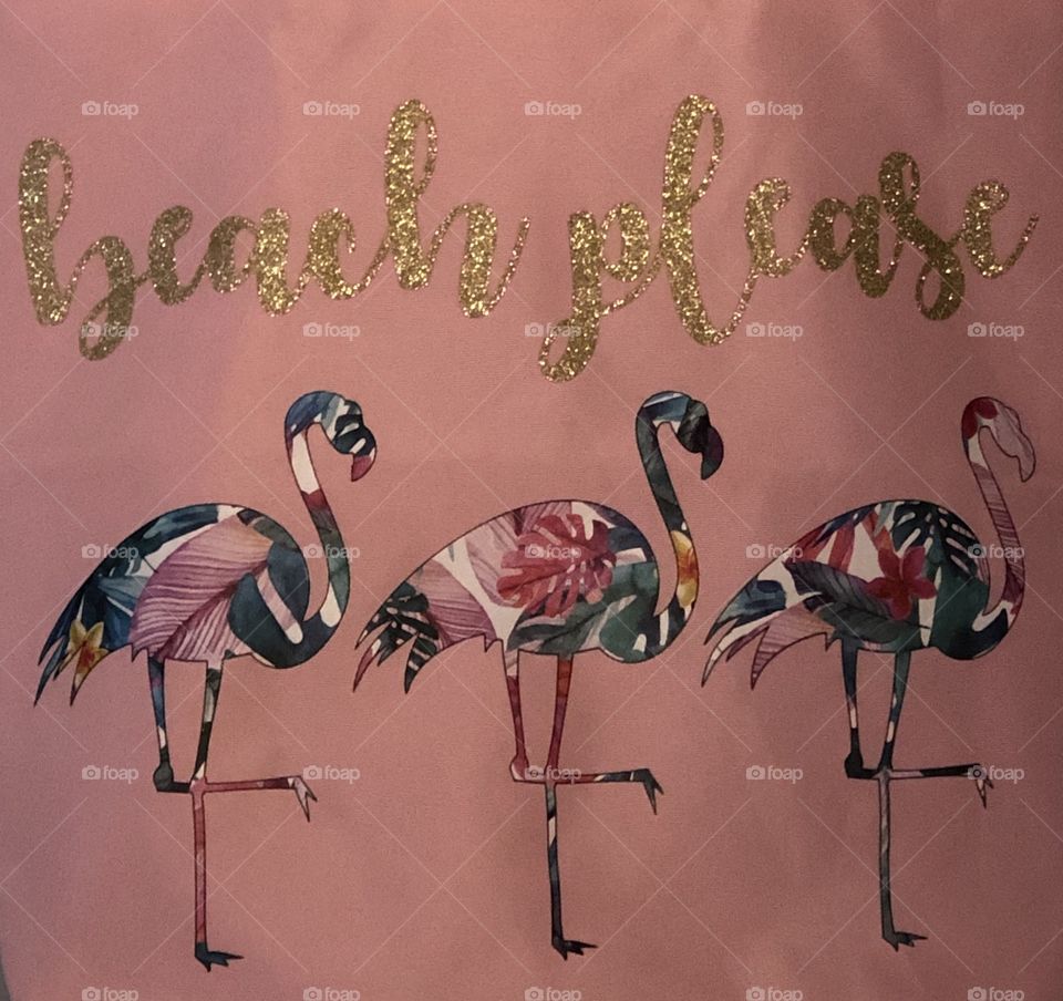  Clash Of Colorful Flamingoes 