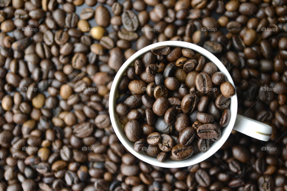 Directly above shot of roasted coffee beans in cup