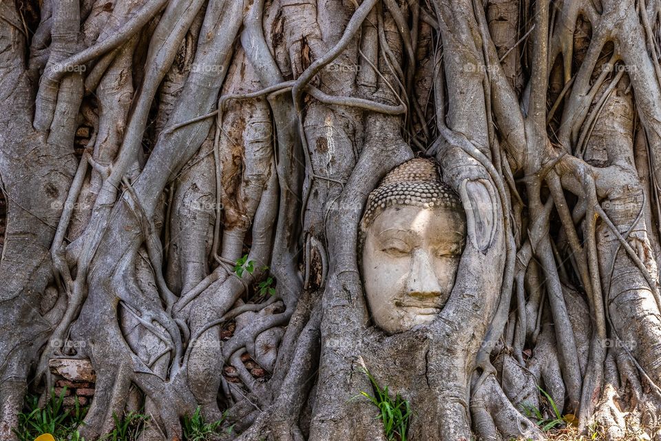 Buddha Face at Wat Mahathat in Ayutthaya Thailand Southeast Asia