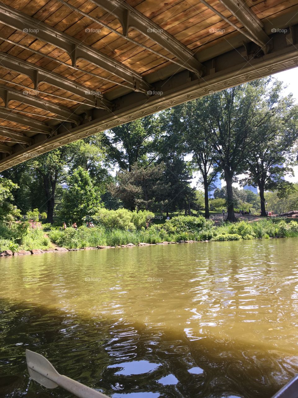 View from under the bridge at Central Park