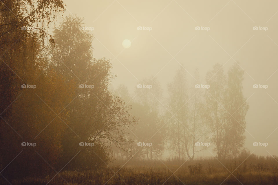 Autumn misty landscape at early morning 