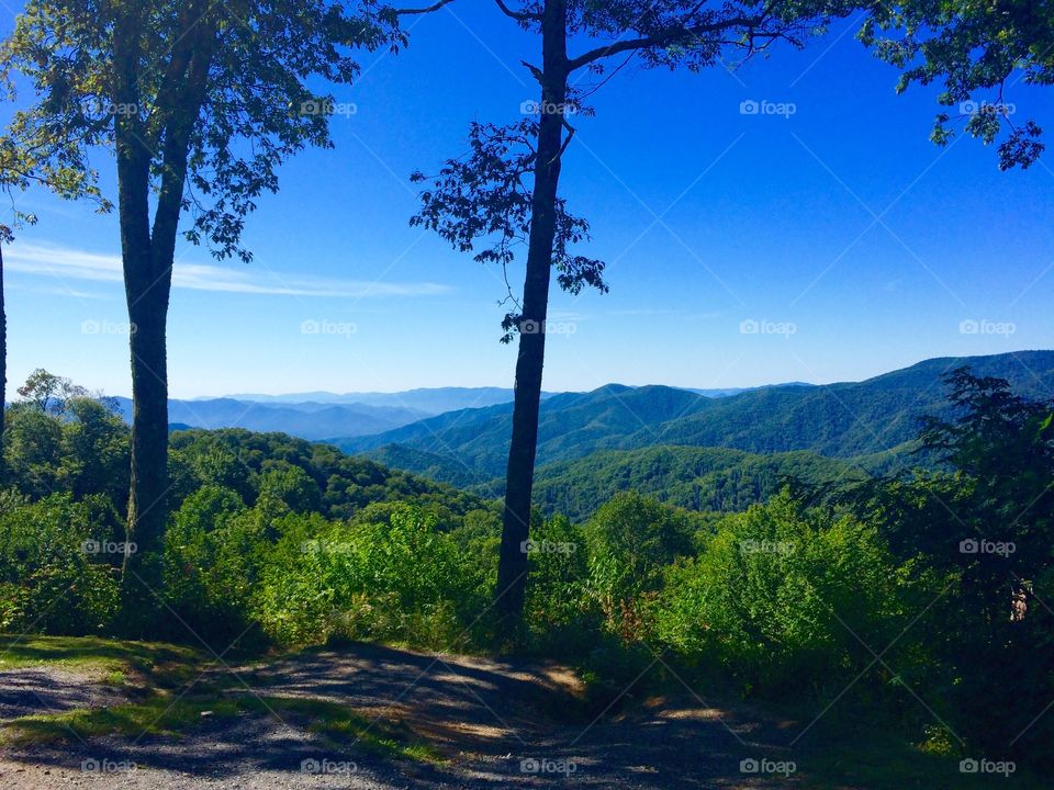 My favorite capture I took at the Great Smoky Mountains! 