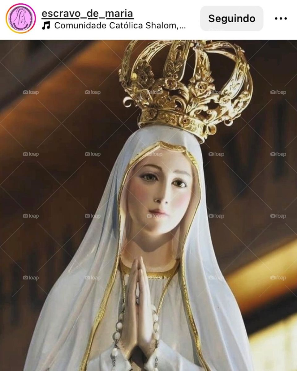 🙏 🇪🇸 Oh Maria, ruega por nosotros que recurrimos a ti.  Amén.  🇧🇷 Ó Maria, Nossa Senhora, rogai por nós que recorremos a vós. Amém. / 🇺🇸 O Mary, pray for us that we turn to you.  Amen. / 🇮🇹 O Madonna, prega per noi che ci rivolgiamo a te. Amen. 