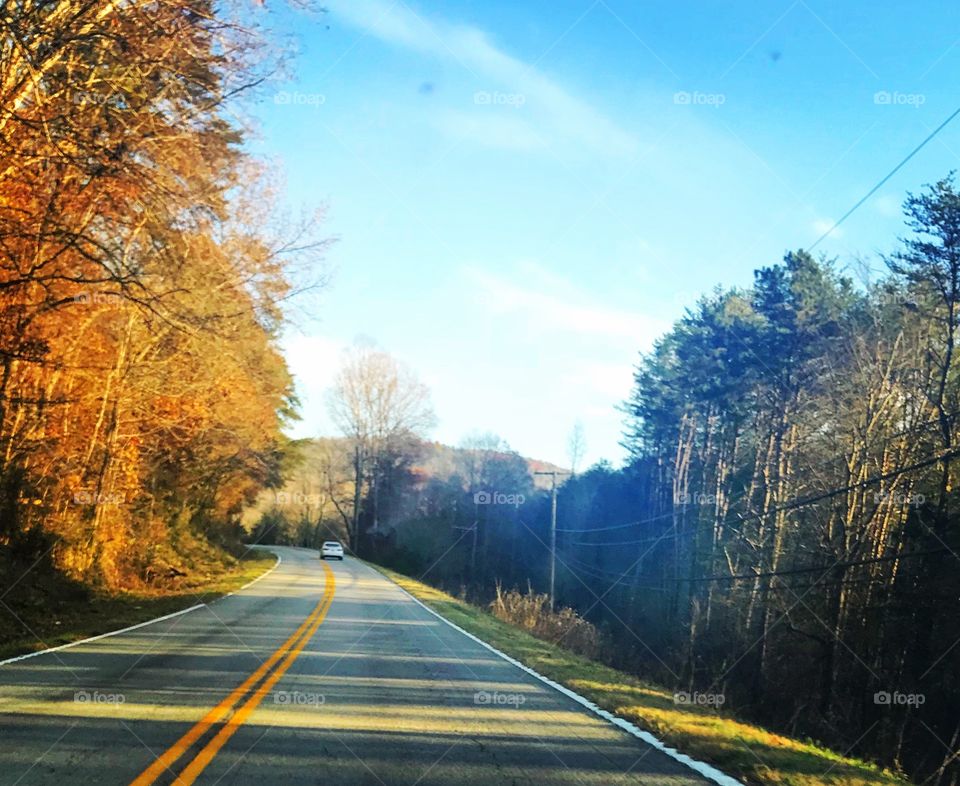 Fall leaves on road in southern Tennessee.