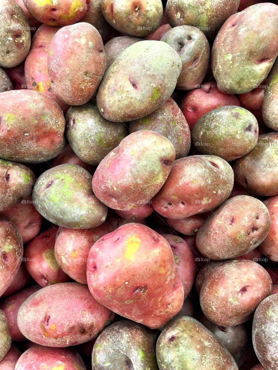 Full frame of red potatos