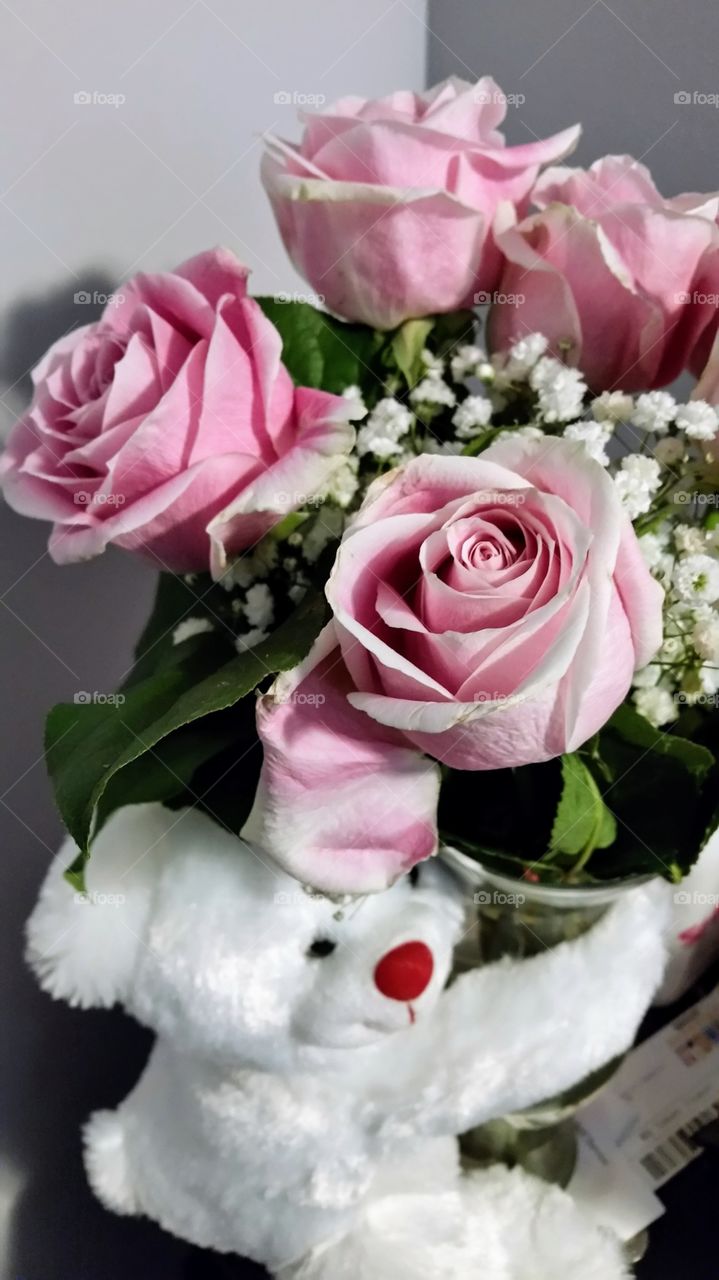 Flowers from my Valentine