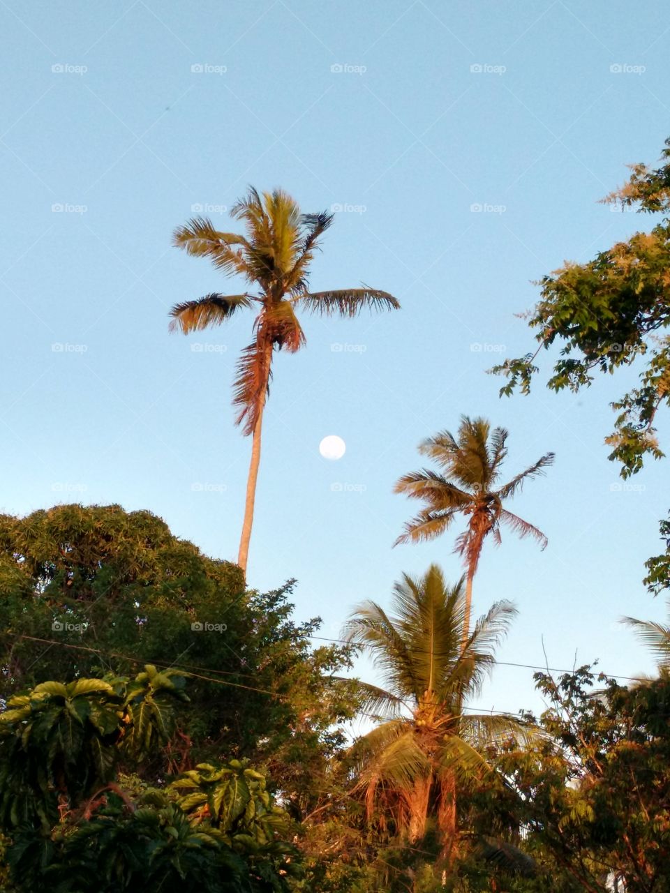 paisagem super lua