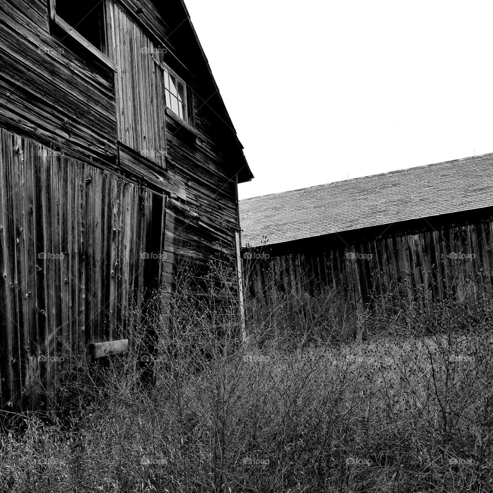 Barn, Abandoned, Wood, Farm, Rustic