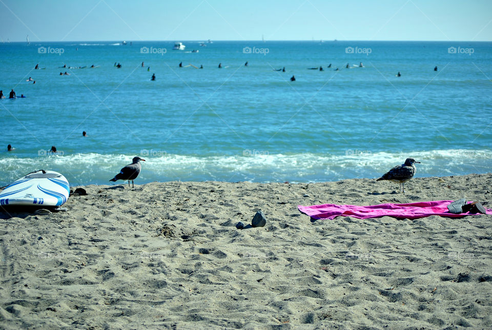 Surfers, California