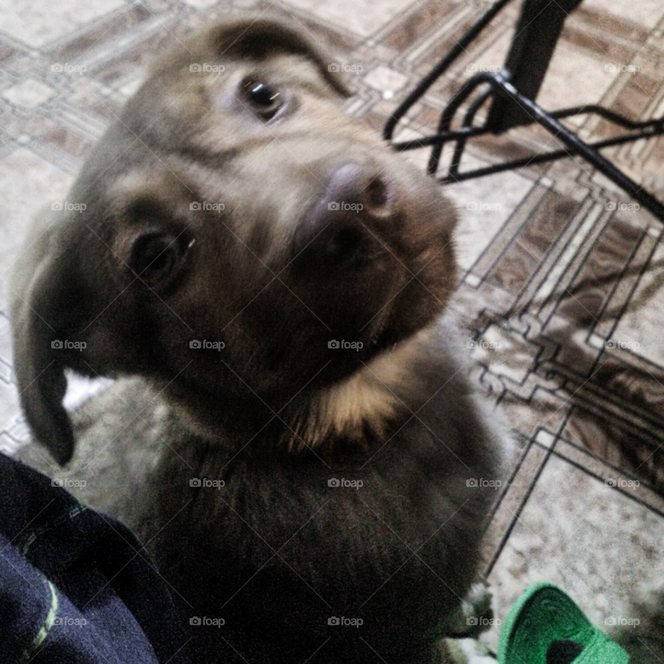 Фото на всегда.