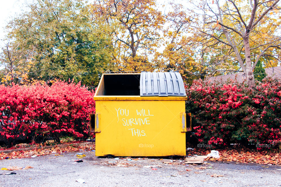 Inspirational yellow dumpster with great quote in the fall autumn colorful leaves with grunge garbage