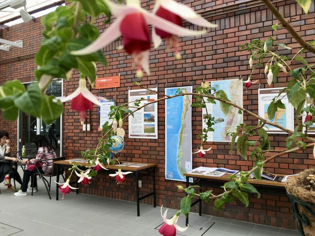 Pink flower hanging