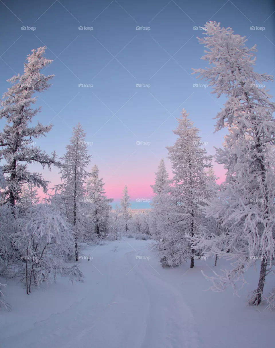 Russian wintercolor