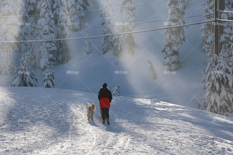 Woman walking on the snow with a dog 