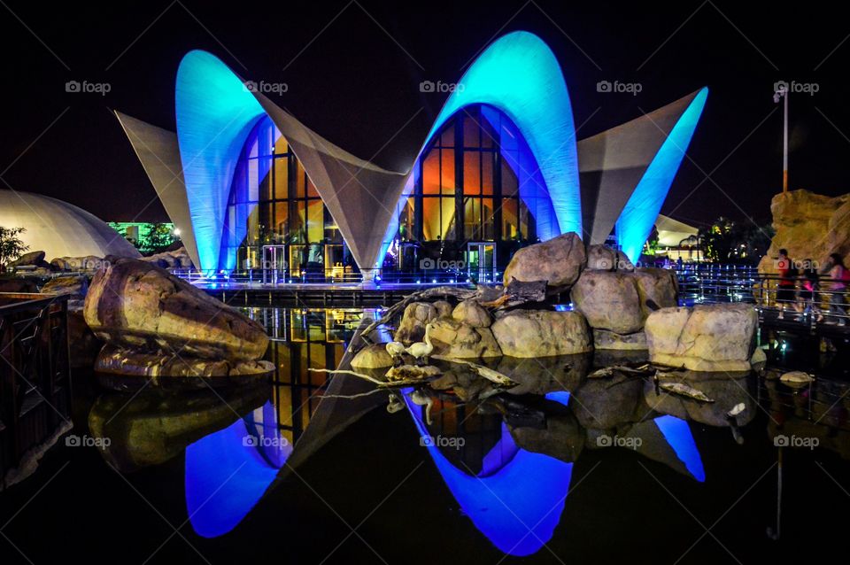 L'Oceanografic, Valencia, Spain