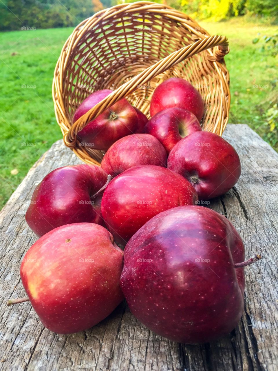 Red apples