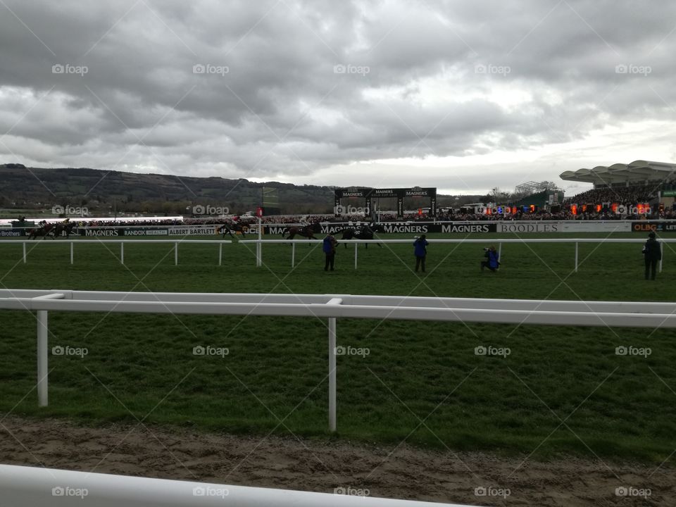 day at the races