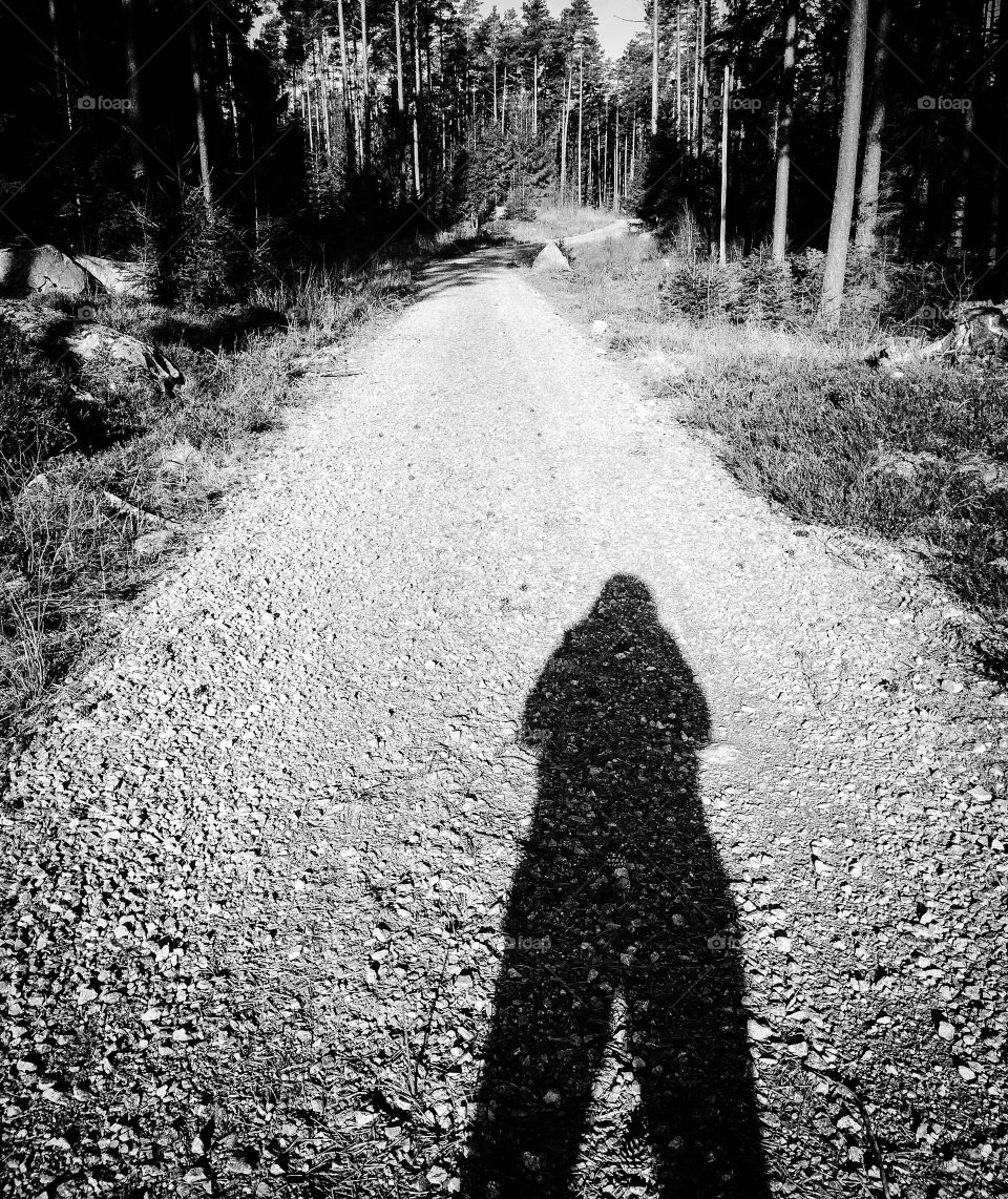 Shadow. Black shadow of a human