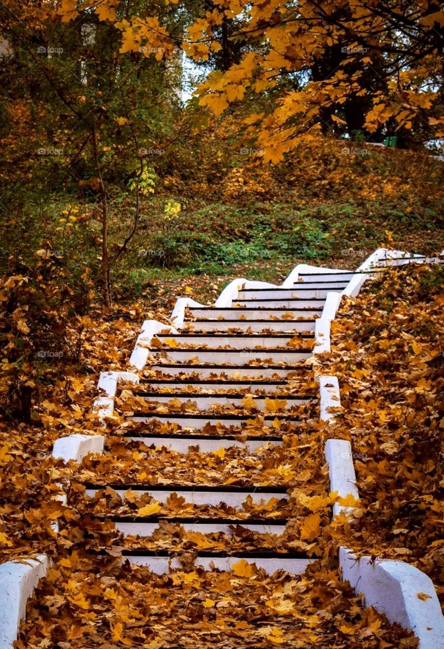 Fall wins Bonnus exclusiv mission