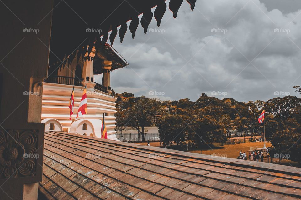 view the Sri Lanka's beauty 