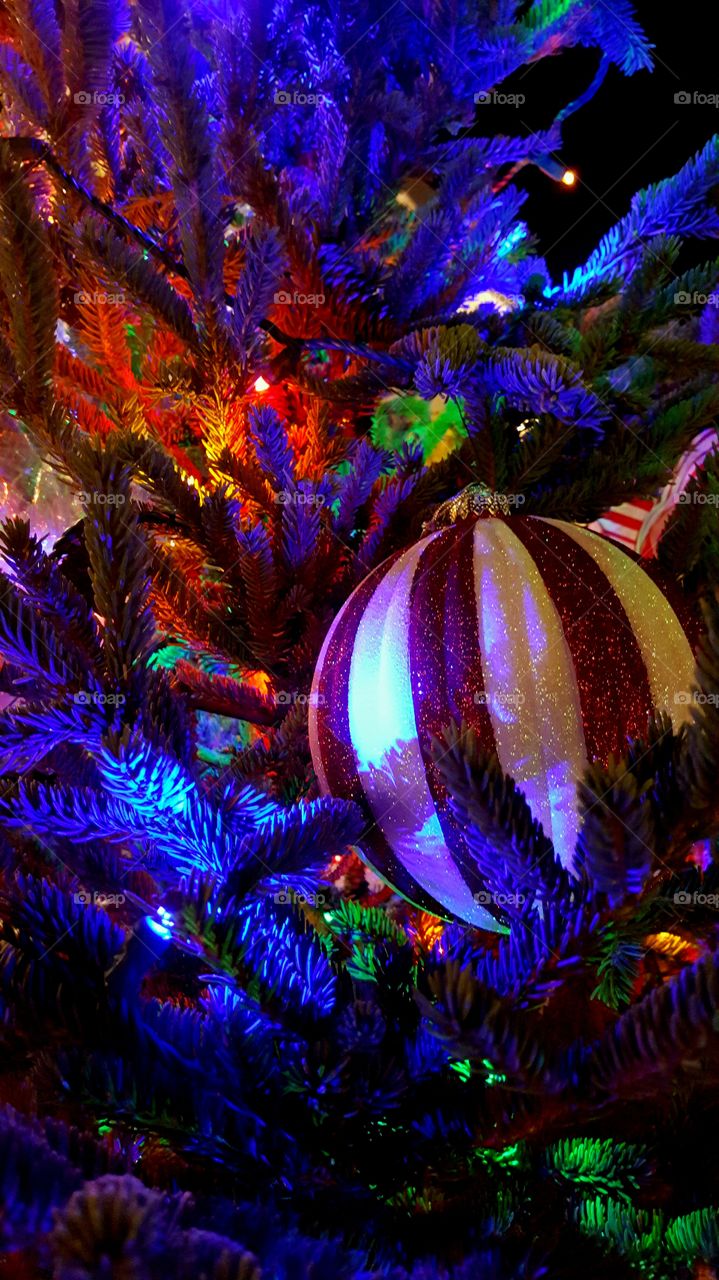 christmas tree closeup