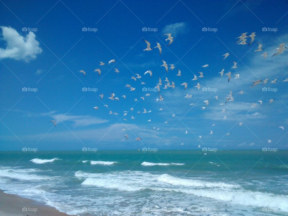 Awesome Beaches and Cliffs