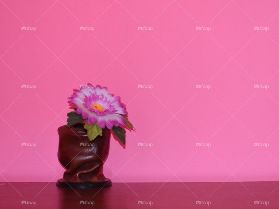 flower on a pink background