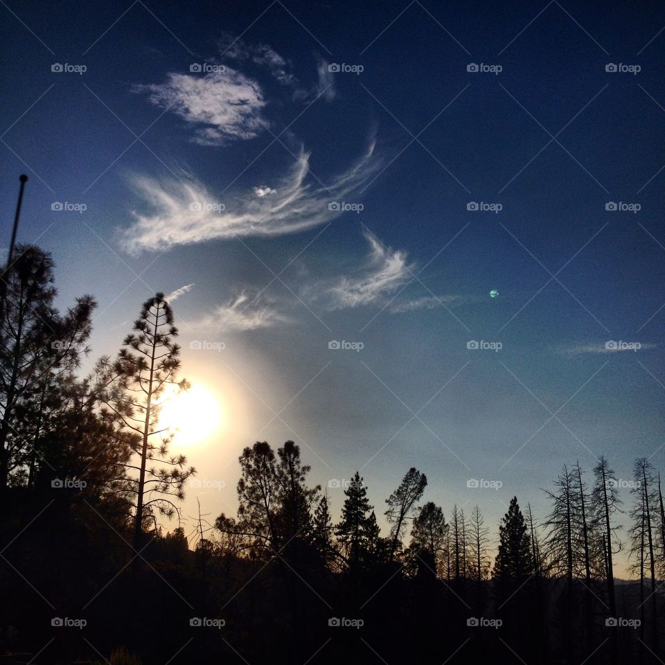 There's a world to see...