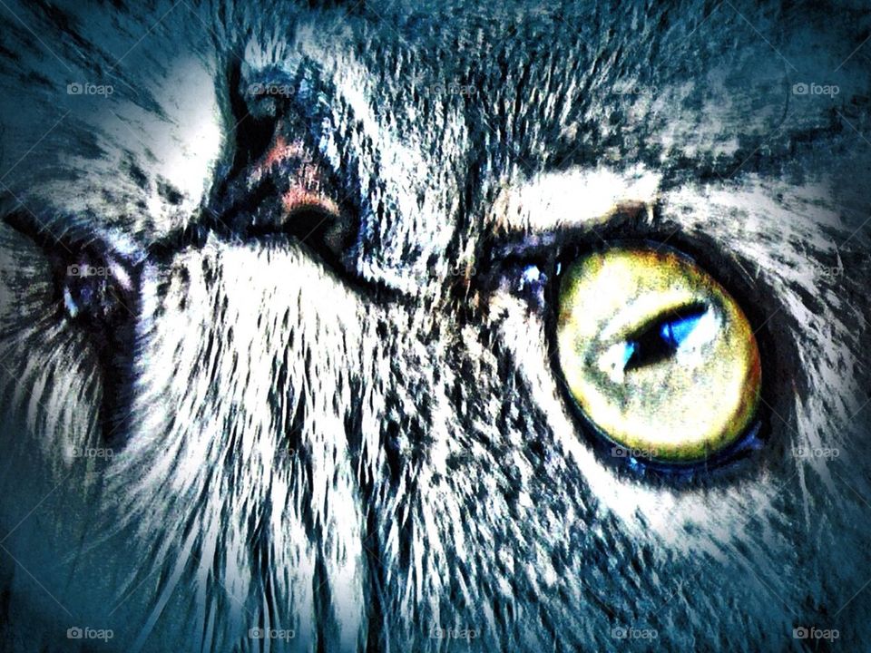 Blue boy up close two