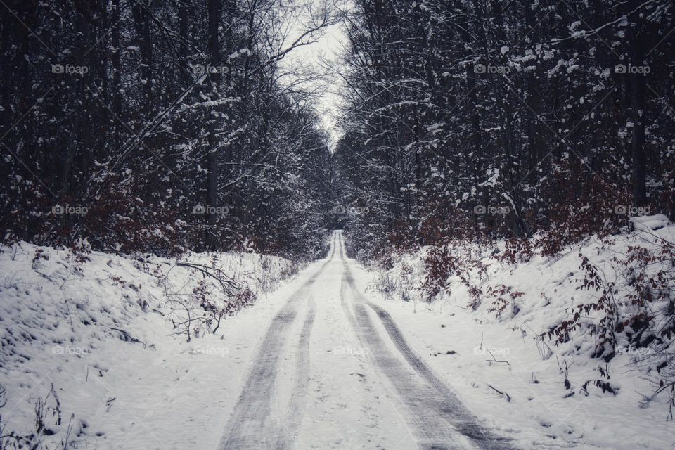 Snow-covered winter wonder way through the forest near the Blood Lake Swamp.