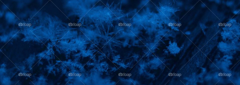 Snow Flakes