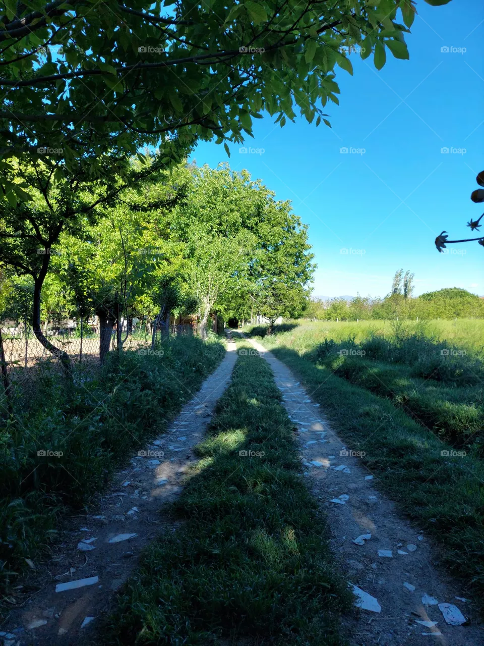 walking path 🍃