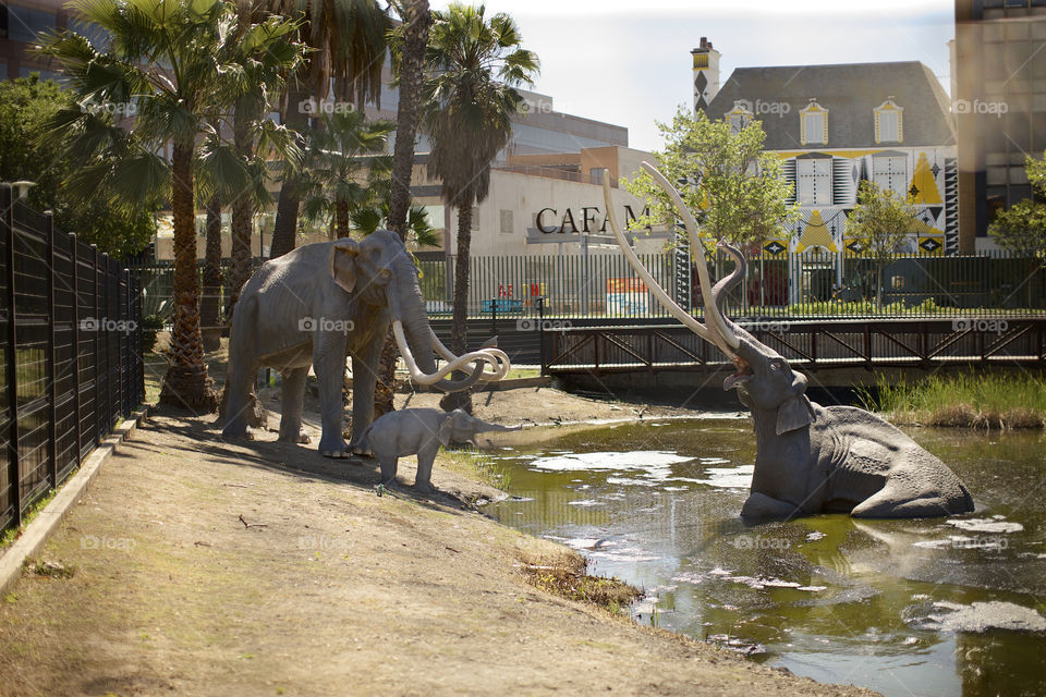 Le Brea Tar Pits