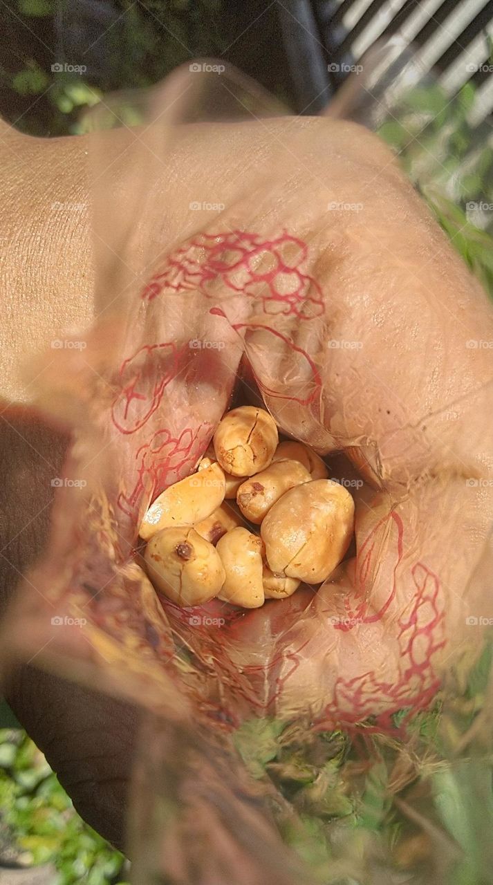 Eat fried peanuts in plastic