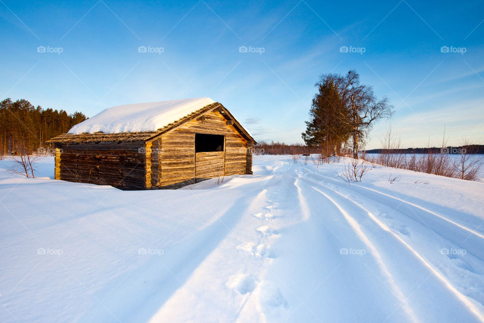 Old cabin