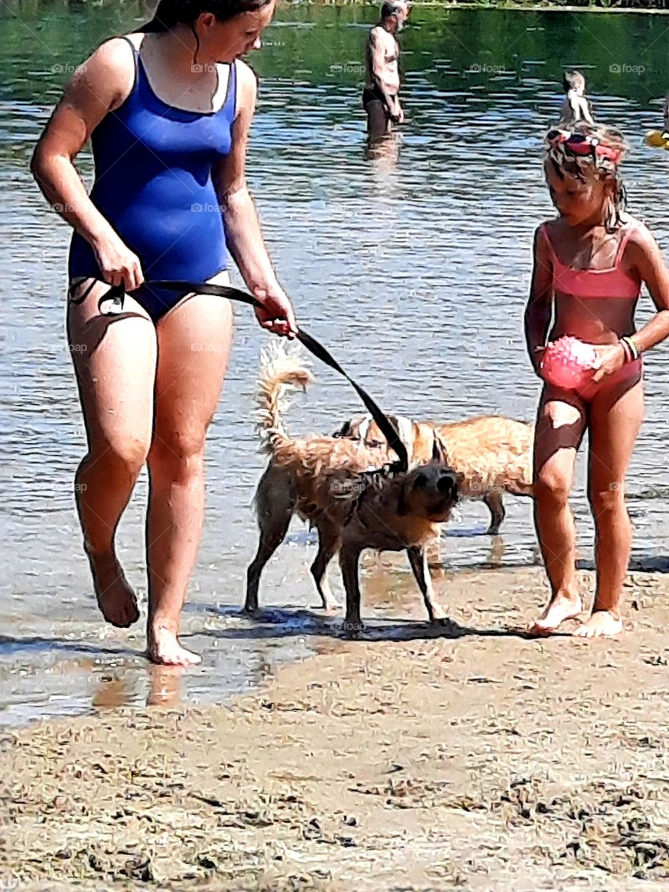 children walking the dog