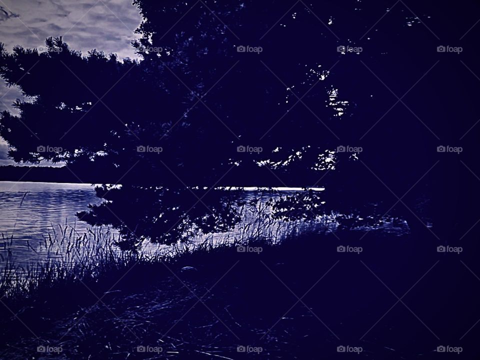 Fear || Darkness Is The Symbol Of Fear