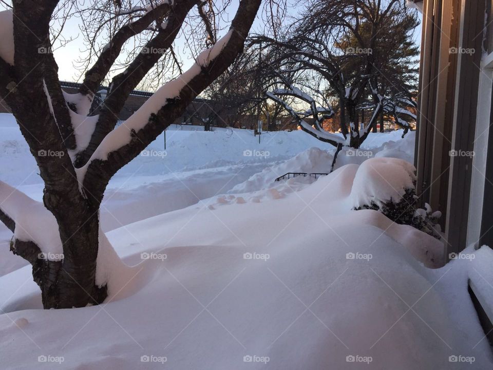 Snow in the morning 