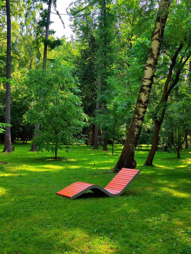 Summer landscape.  Through the dense green trees, the sun's rays break through, which are visible on the green grass.  Among the trees stands a wooden bench-bed for relaxing and sunbathing.