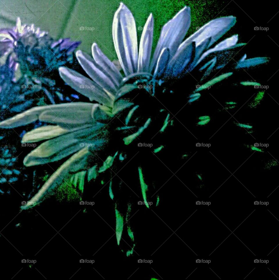 just because. lighting effects