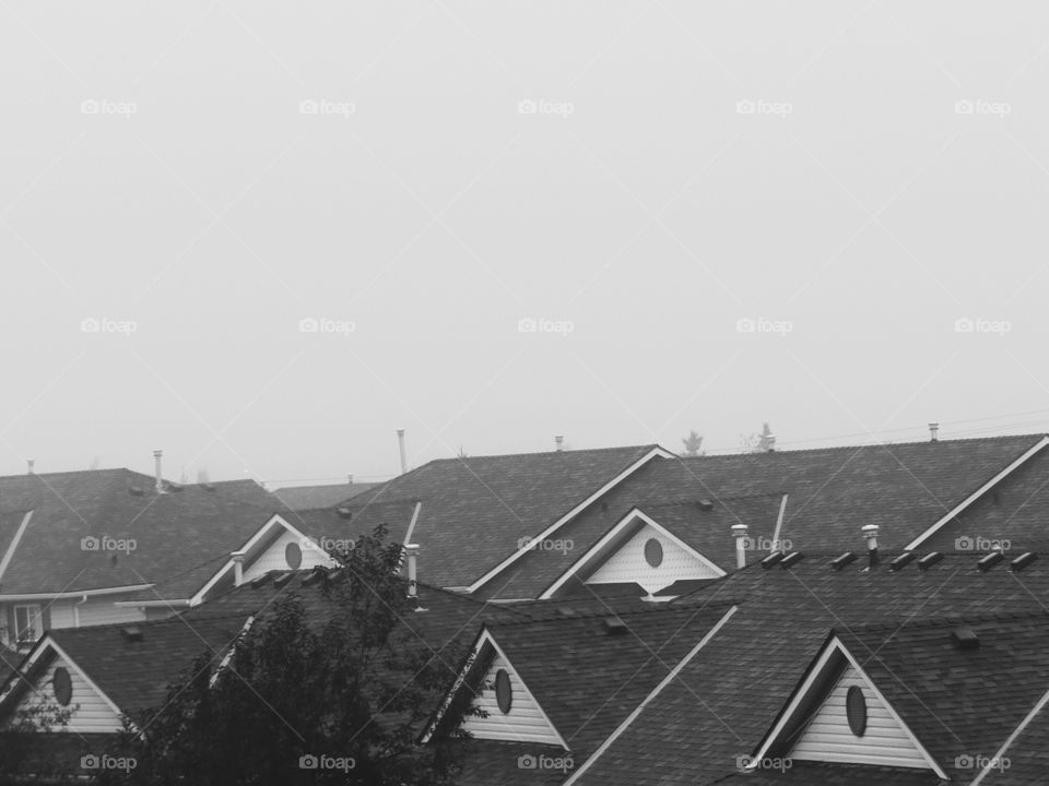 Rooftops of town houses Black and white 