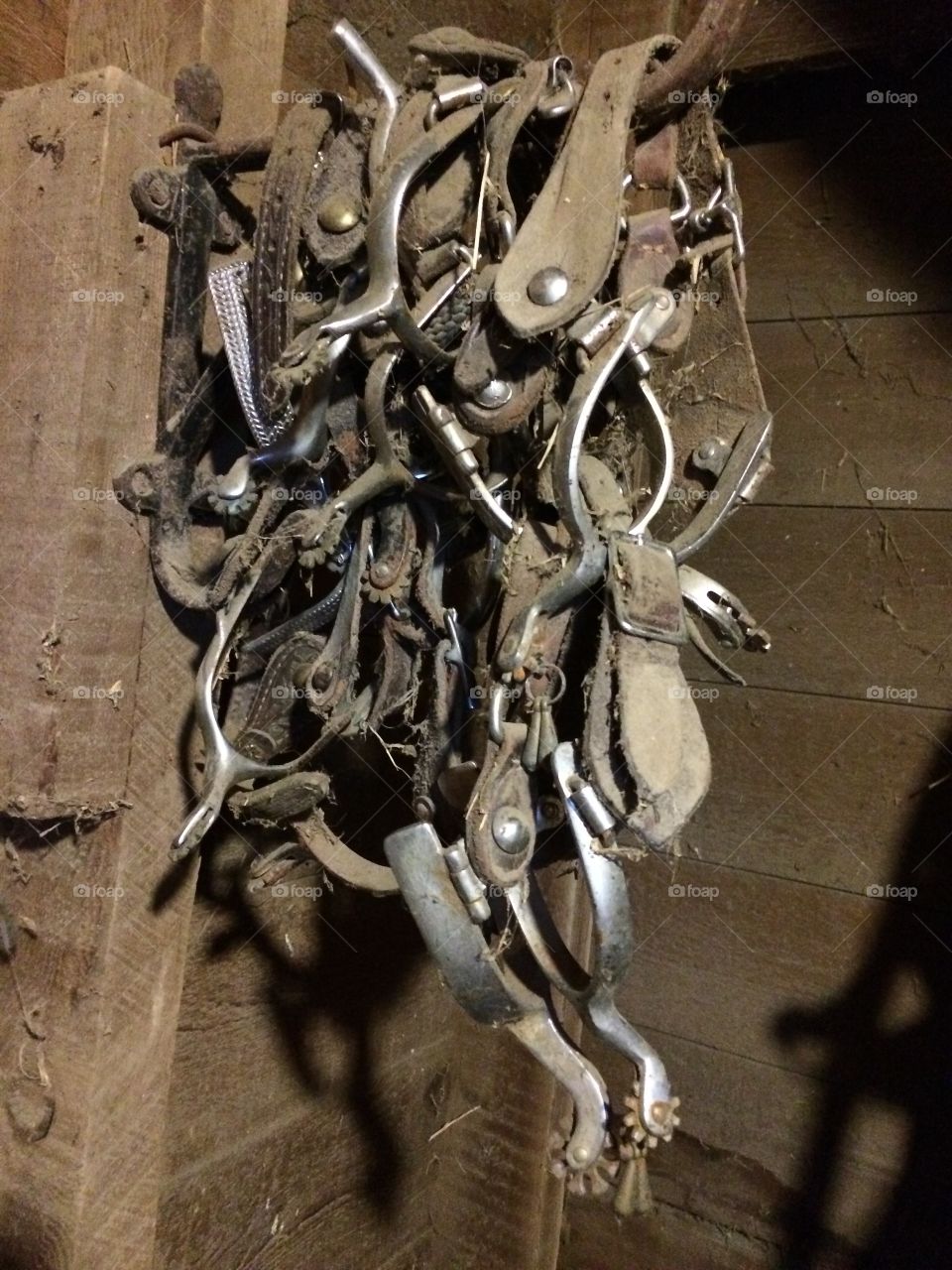 Spurs that jingle jangle. Old spurs in a tack room 
