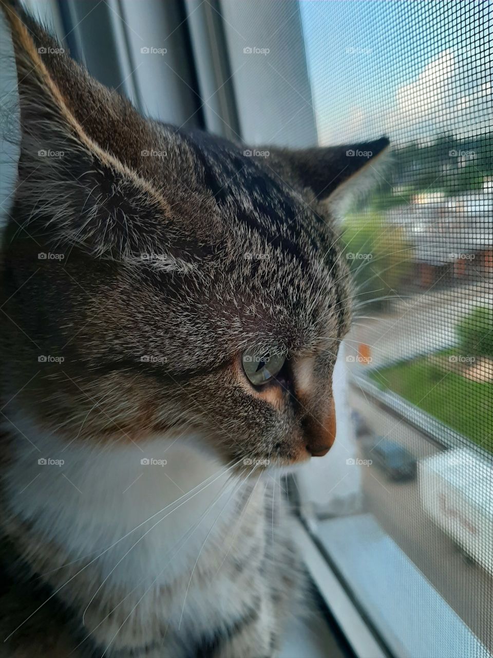 Ну   надоже   я   его   узнала!