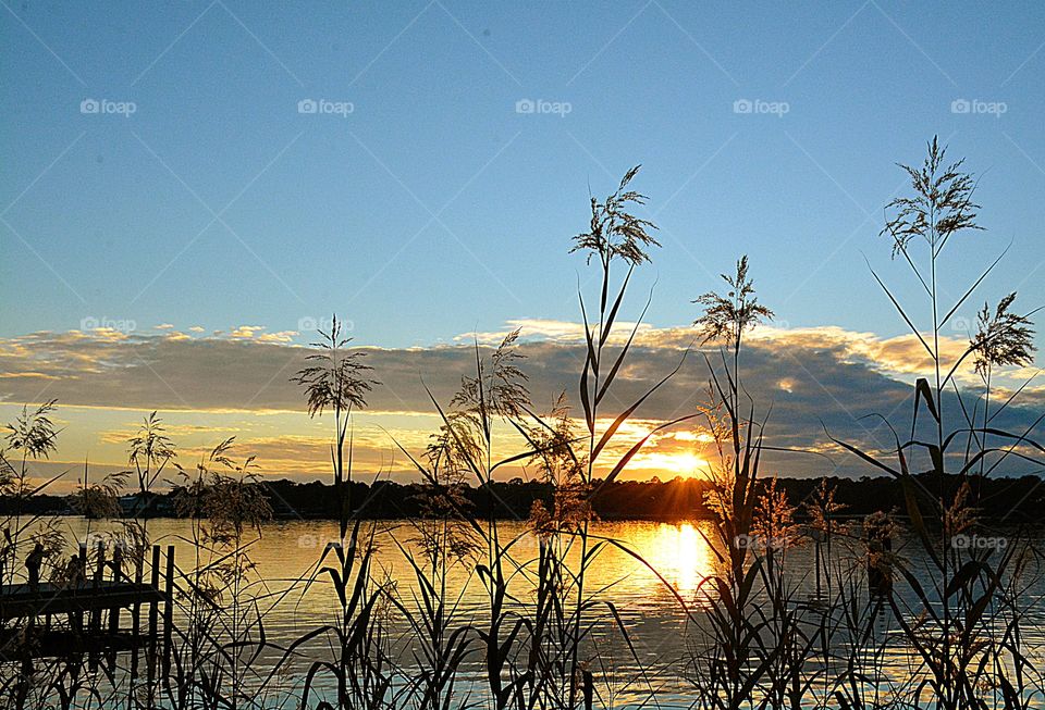 Golden Sunrays Reflection 