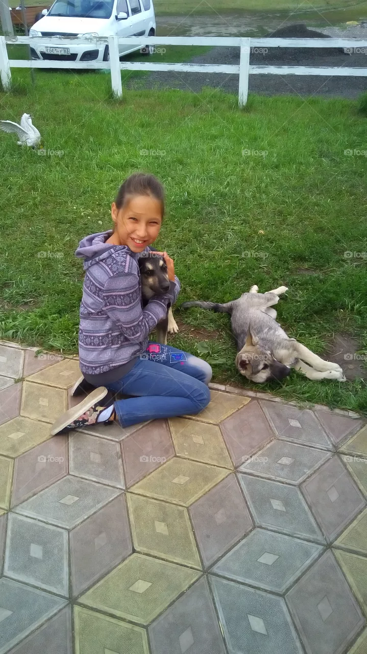 my Dogs