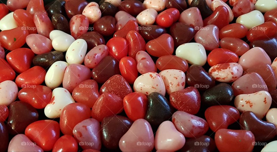 What the Heart Wants