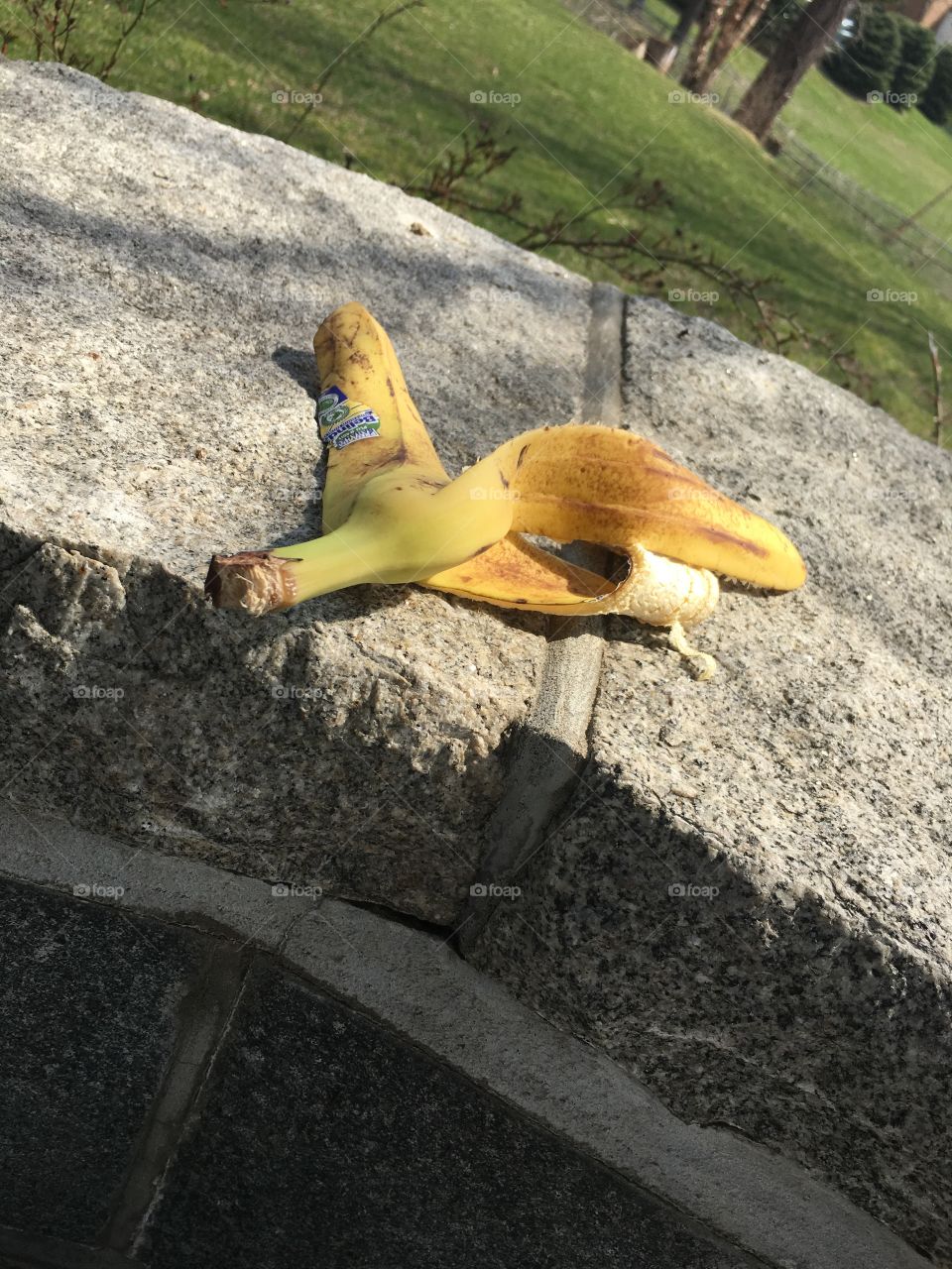 Am I on the right place?