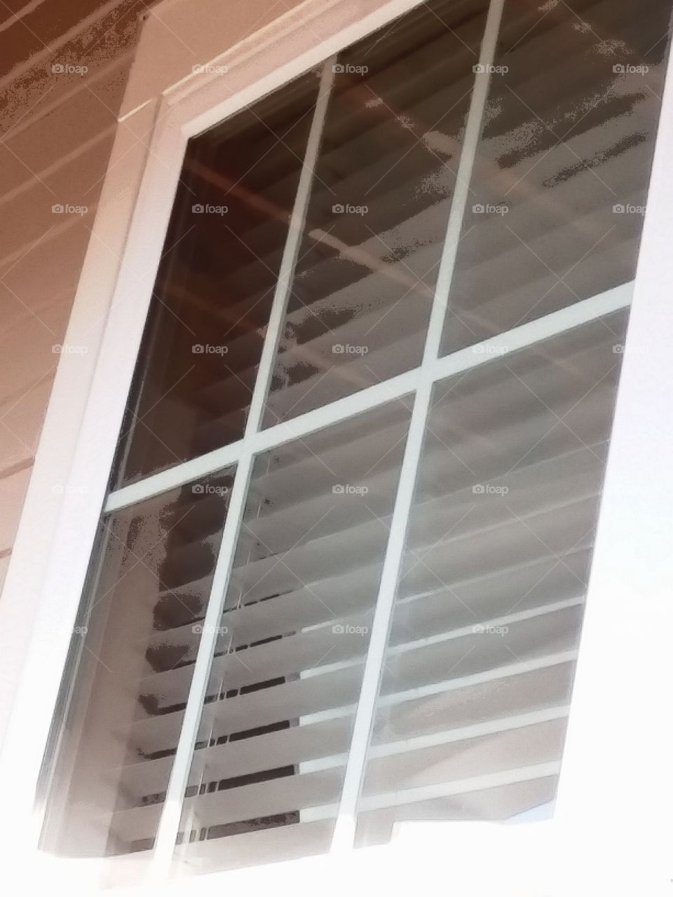 blinds thru window